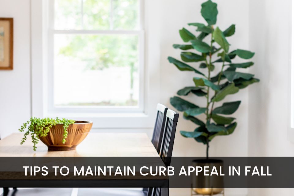 Best Practices for Sellers to Maintain Curb Appeal in Fall